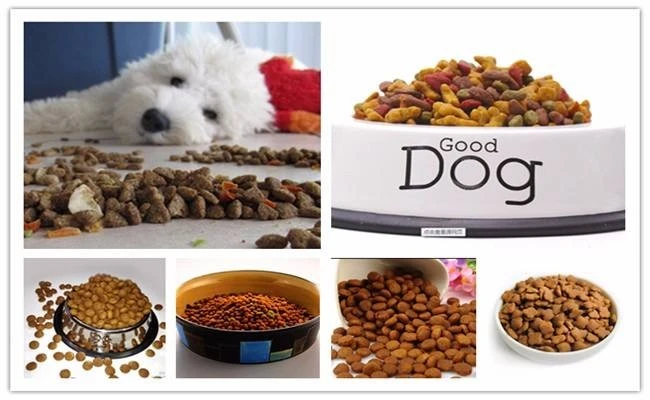 Dry Pet Food Extruder Machines With Packing suppliers